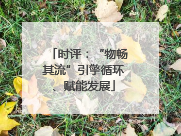 时评：“物畅其流”引擎循环、赋能发展