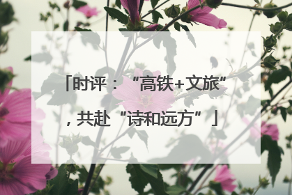 时评：“高铁+文旅”，共赴“诗和远方”