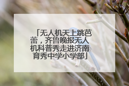 无人机天上跳芭蕾，齐鲁晚报无人机科普秀走进济南育秀中学小学部