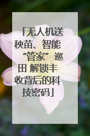 无人机送秧苗、智能“管家”巡田 解锁丰收背后的科技密码