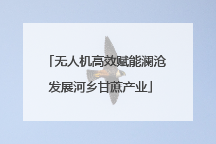 无人机高效赋能澜沧发展河乡甘蔗产业