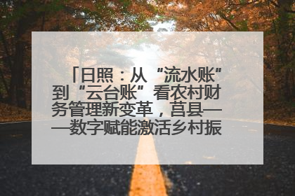 日照：从“流水账”到“云台账”看农村财务管理新变革，莒县——数字赋能激活乡村振兴“一池春水”