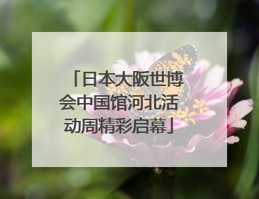 日本大阪世博会中国馆河北活动周精彩启幕