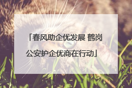 春风助企优发展 鹤岗公安护企优商在行动