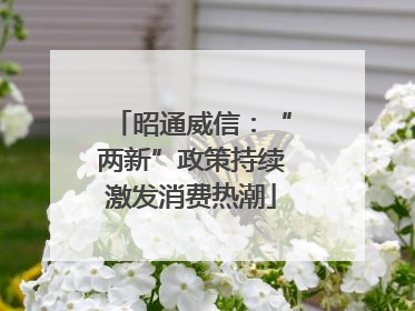 昭通威信：“两新”政策持续激发消费热潮