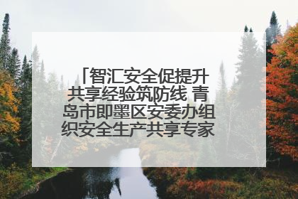 智汇安全促提升 共享经验筑防线 青岛市即墨区安委办组织安全生产共享专家现场观摩学习活动