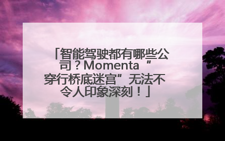 智能驾驶都有哪些公司？Momenta“穿行桥底迷宫”无法不令人印象深刻！