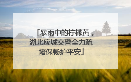 暴雨中的柠檬黄，湖北应城交警全力疏堵保畅护平安