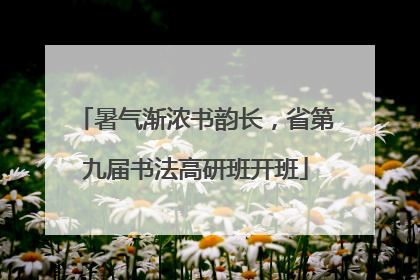 暑气渐浓书韵长，省第九届书法高研班开班