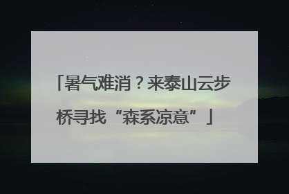 暑气难消？来泰山云步桥寻找“森系凉意”