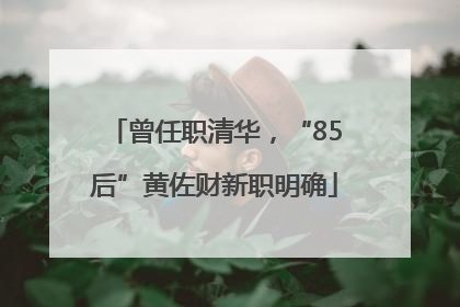 曾任职清华，“85后”黄佐财新职明确