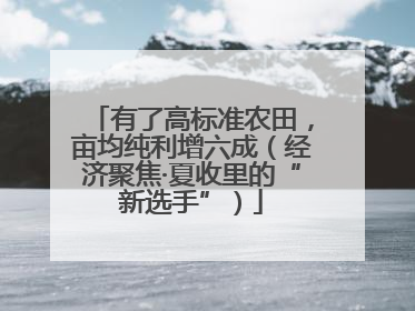 有了高标准农田，亩均纯利增六成（经济聚焦·夏收里的“新选手”）