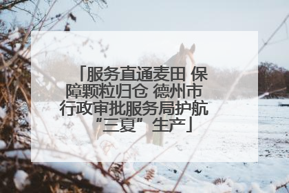 服务直通麦田 保障颗粒归仓 德州市行政审批服务局护航“三夏”生产