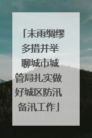 未雨绸缪 多措并举 聊城市城管局扎实做好城区防汛备汛工作