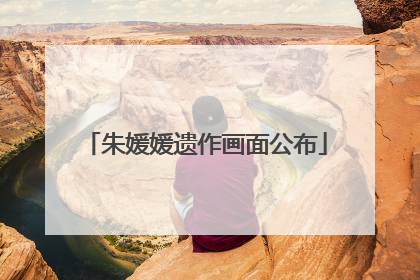 朱媛媛遗作画面公布