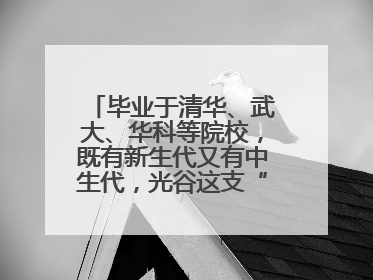 毕业于清华、武大、华科等院校，既有新生代又有中生代，光谷这支“理工男团”为何“出道”？