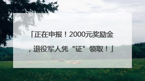 正在申报！2000元奖励金，退役军人凭“证”领取！