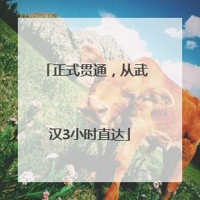 正式贯通，从武汉3小时直达