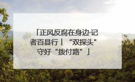 正风反腐在身边·记者百县行丨“双探头”守好“拨付路”
