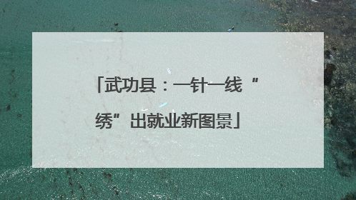武功县：一针一线“绣”出就业新图景