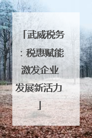 武威税务：税惠赋能 激发企业发展新活力