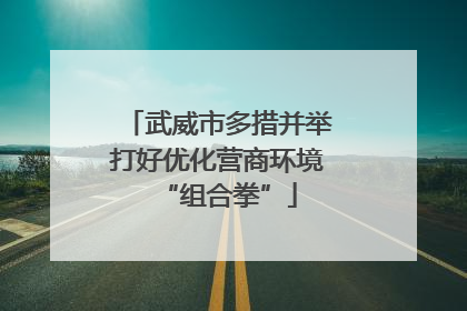 武威市多措并举打好优化营商环境“组合拳”