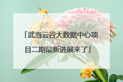 武当云谷大数据中心项目二期最新进展来了