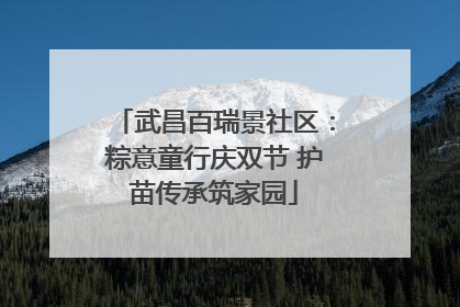 武昌百瑞景社区：粽意童行庆双节 护苗传承筑家园