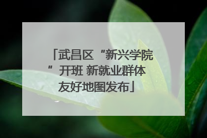 武昌区“新兴学院”开班 新就业群体友好地图发布