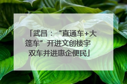 武昌：“直通车+大篷车”开进文创楼宇 双车并进惠企便民