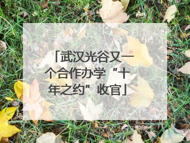 武汉光谷又一个合作办学“十年之约”收官