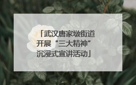 武汉唐家墩街道开展“三大精神”沉浸式宣讲活动
