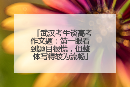 武汉考生谈高考作文题：第一眼看到题目很慌，但整体写得较为流畅