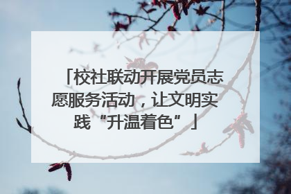 校社联动开展党员志愿服务活动，让文明实践“升温着色”