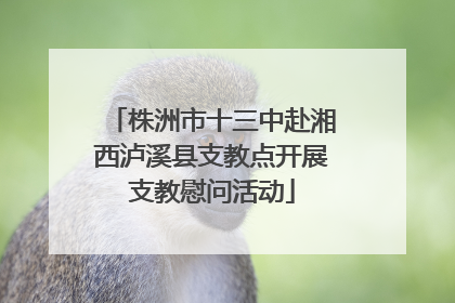 株洲市十三中赴湘西泸溪县支教点开展支教慰问活动
