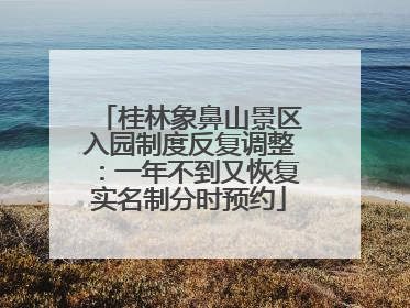 桂林象鼻山景区入园制度反复调整：一年不到又恢复实名制分时预约