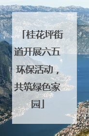 桂花坪街道开展六五环保活动，共筑绿色家园