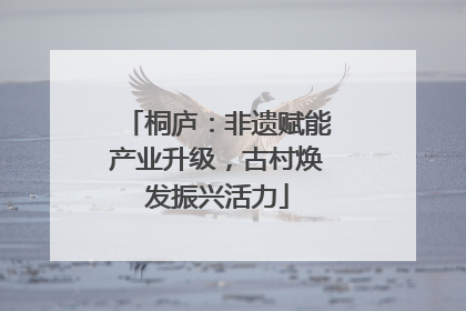 桐庐：非遗赋能产业升级，古村焕发振兴活力