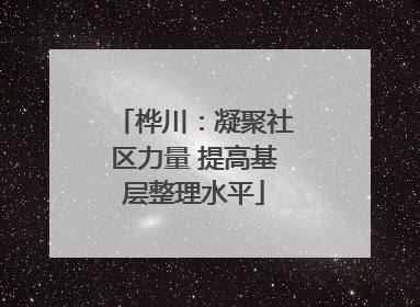桦川：凝聚社区力量 提高基层整理水平