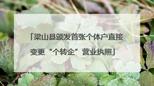 梁山县颁发首张个体户直接变更“个转企”营业执照