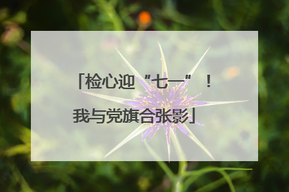 检心迎“七一”！我与党旗合张影