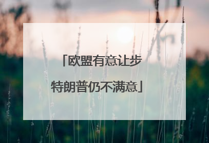 欧盟有意让步 特朗普仍不满意