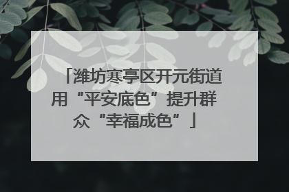潍坊寒亭区开元街道用“平安底色”提升群众“幸福成色”