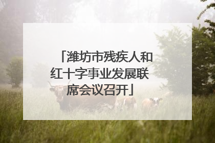 潍坊市残疾人和红十字事业发展联席会议召开