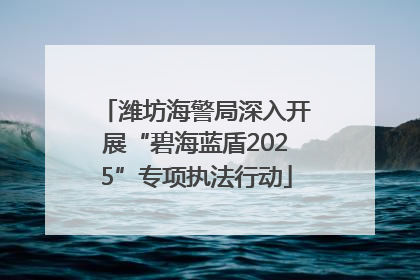 潍坊海警局深入开展“碧海蓝盾2025”专项执法行动