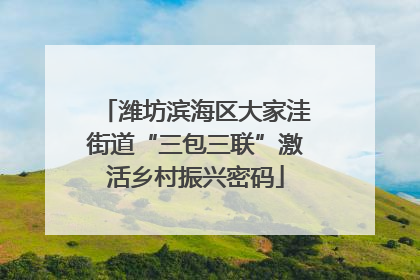 潍坊滨海区大家洼街道“三包三联”激活乡村振兴密码