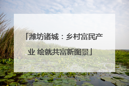 潍坊诸城：乡村富民产业 绘就共富新图景