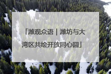 潍观众语｜潍坊与大湾区共绘开放同心圆