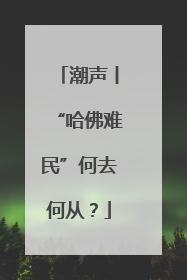 潮声丨“哈佛难民”何去何从？