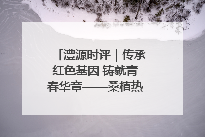 澧源时评｜传承红色基因 铸就青春华章——桑植热土上的青春长征